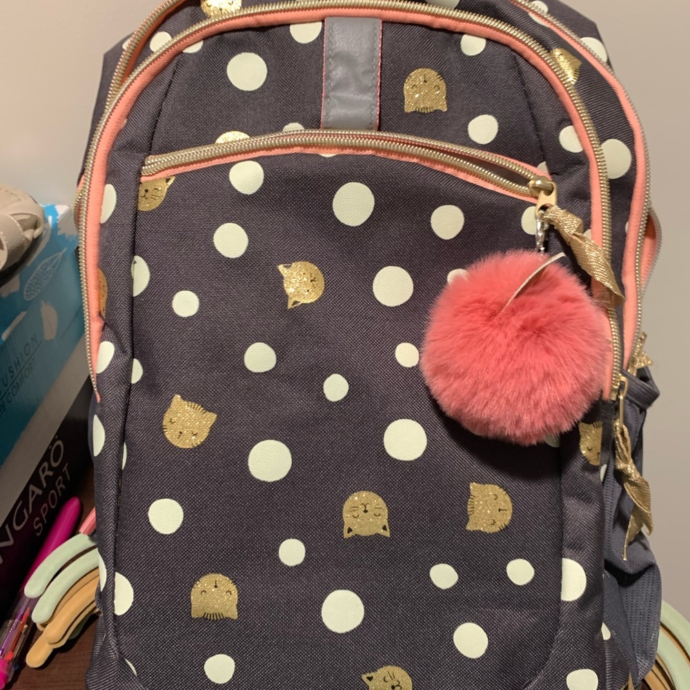 Backpack-Bought from Target